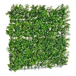Plante décorative Vert...