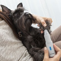 Lime à Griffes Électrique pour Animaux de Compagnie PediPet InnovaGoods