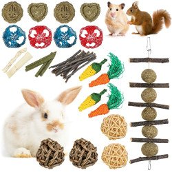 Jouets (Reconditionné A)