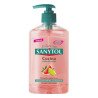 Savon pour les Mains avec Doseur Antibacterias Kitchen Sanytol 280120 (250 ml) 250 ml